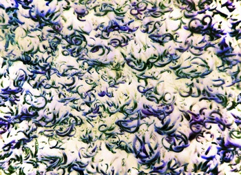 A 137B